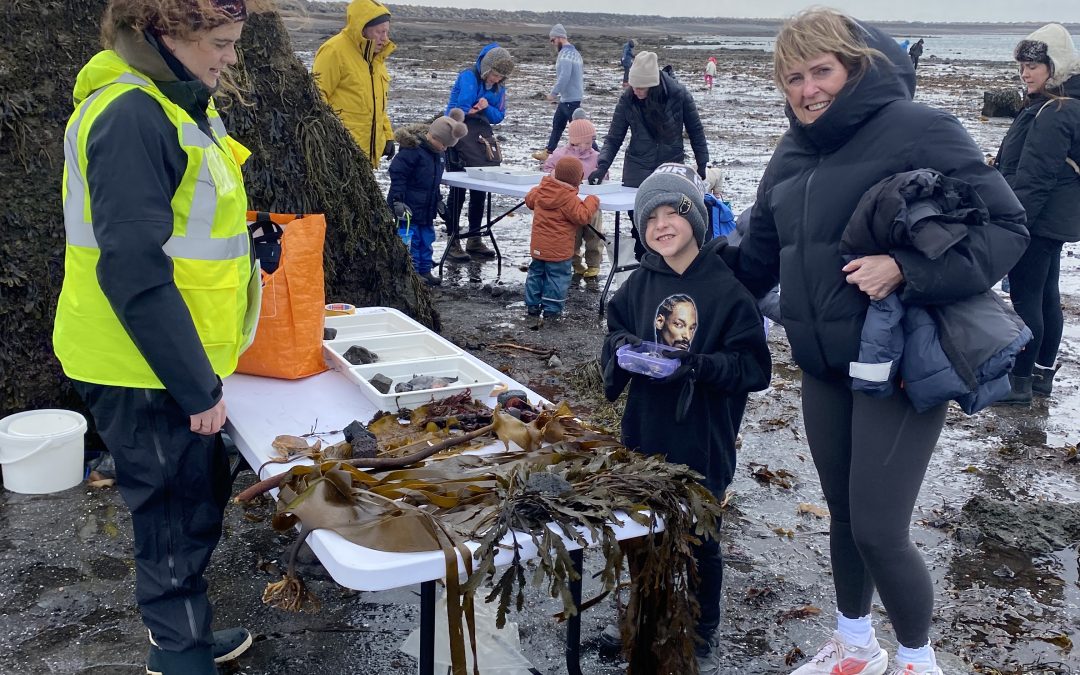 Fjöruferð við Gróttu vakti mikla lukku