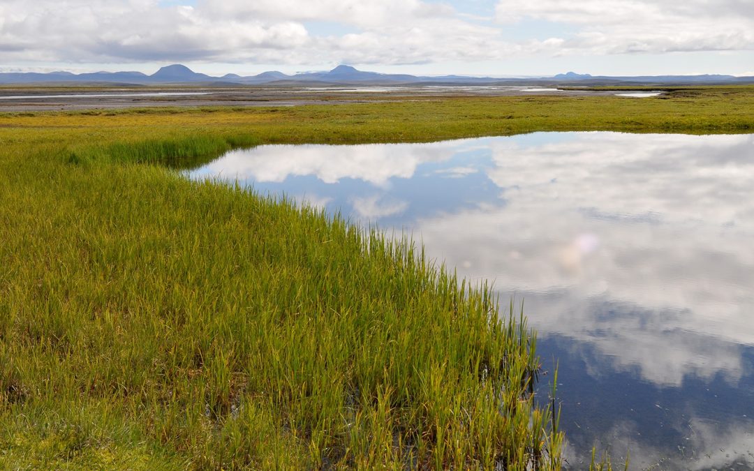 Hálendisþjóðgarður – Einstök náttúra á heimsvísu