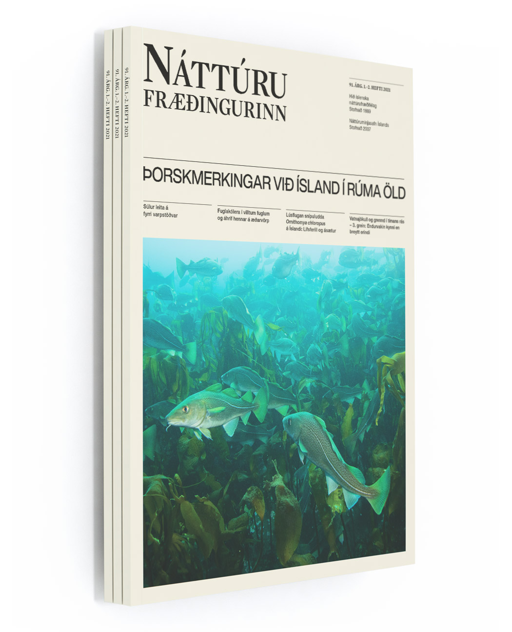 NFR_91_1-2-Cover_Render_WEB-2