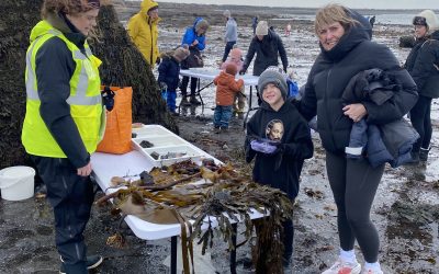 Fjöruferð við Gróttu vakti mikla lukku